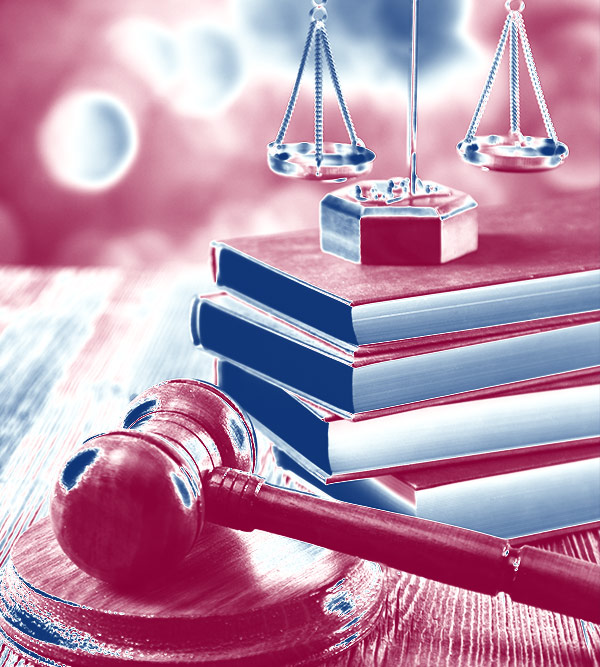 أنواع الشركات في السعودية